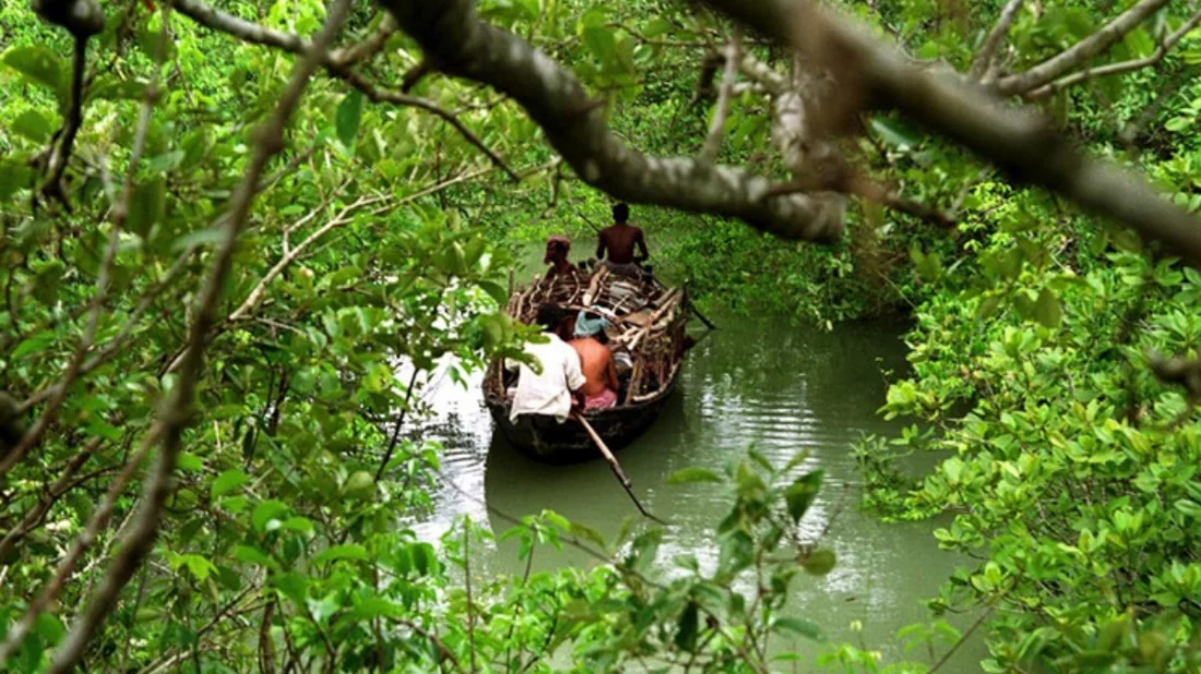 সুন্দরবনে ৭ দিন জিম্মি থেকে ৭ লাখ টাকা মুক্তিপণ দিয়ে বাড়ি ফিরল ১১ জেলে