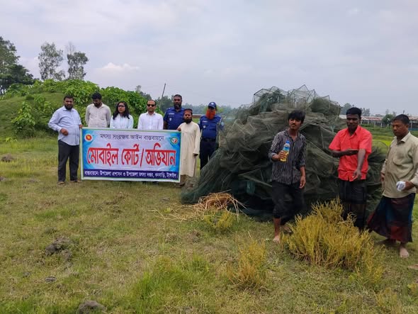 দেশীয় মাছ রক্ষায় ধনবাড়ীতে ভ্রাম্যমাণ আদালত, ৬০০ মিটার অবৈধ জাল ধ্বংস