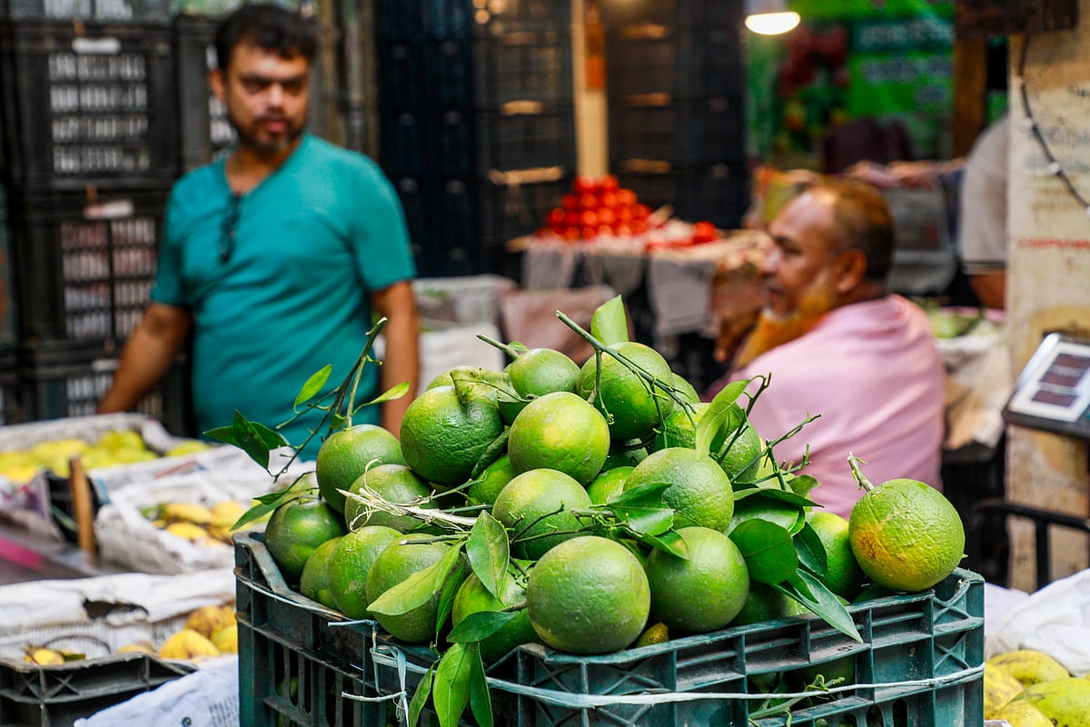 ডেঙ্গুর মৌসুমে মাল্টার বাজারে চড়া দাম
