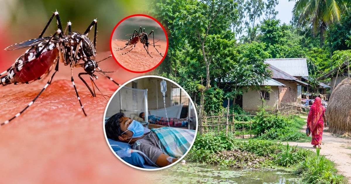 গ্রামাঞ্চলে ছড়িয়ে পড়ছে ডেঙ্গু, ঝুঁকিতে রোগীরা