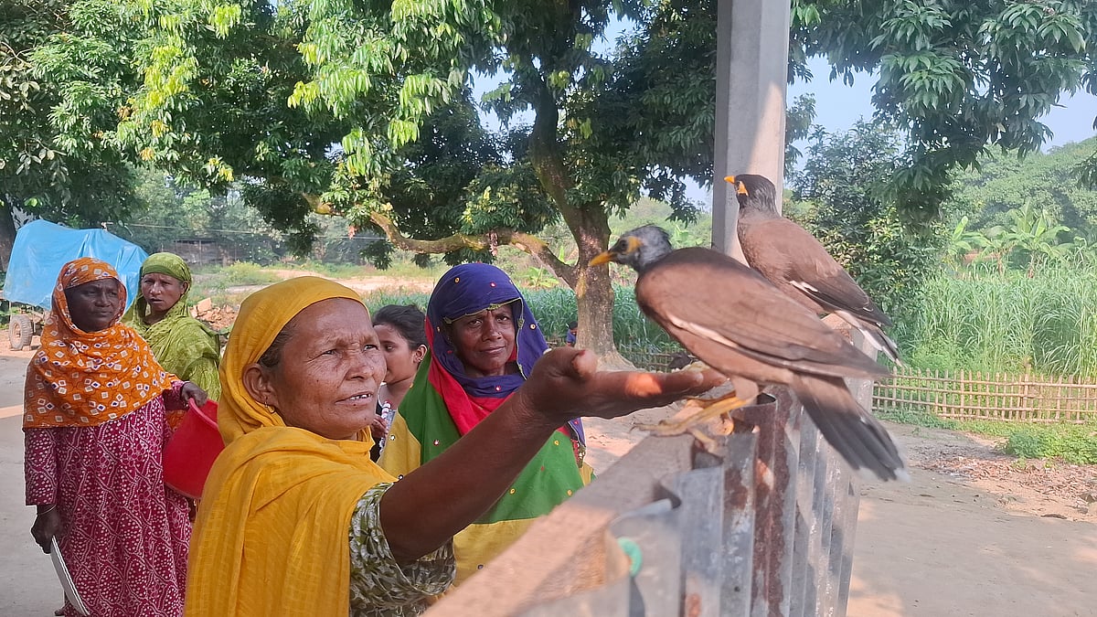 সাদিকুলের শালিক কথা বলতে শিখল কী করে