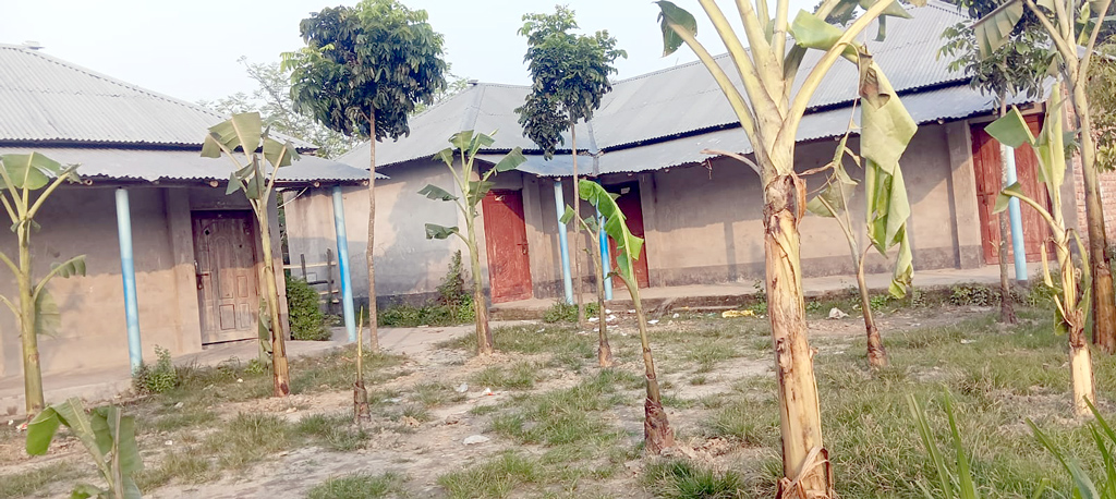 ছেলে-পুত্রবধূকে চাকরি না দেওয়ায় স্কুলের মাঠে কলাগাছ লাগালেন জমিদাতা