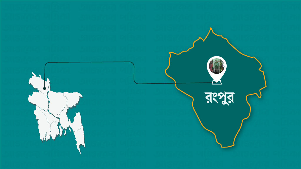 পীরগঞ্জে শালবাগান থেকে রাতের আঁধারে গাছ কাটার অভিযোগ